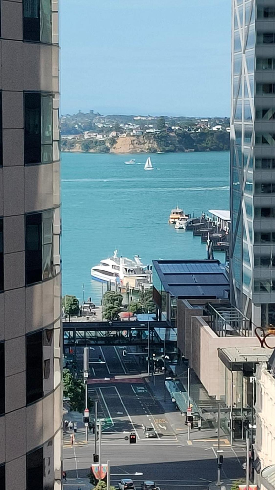 20 Pct Off Sky Stars Park Apartment Auckland Zimmer foto